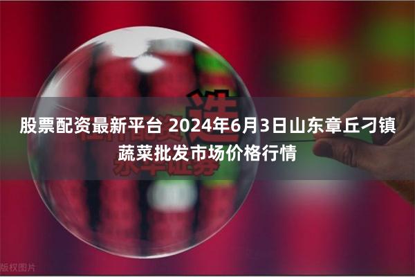 股票配资最新平台 2024年6月3日山东章丘刁镇蔬菜批发市场价格行情