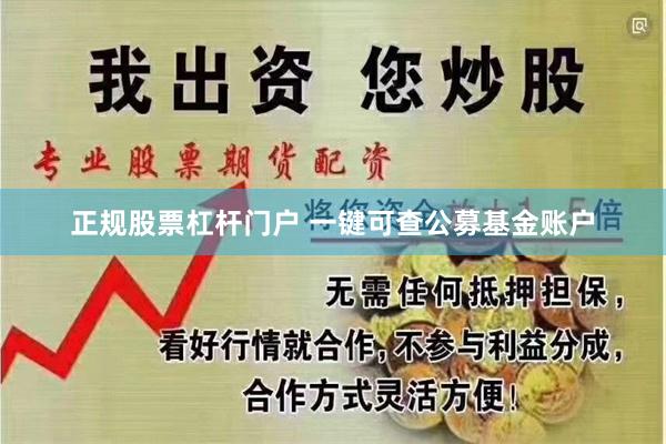 正规股票杠杆门户 一键可查公募基金账户