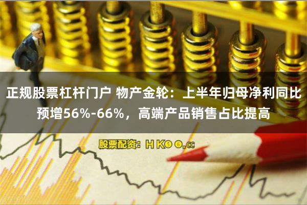 正规股票杠杆门户 物产金轮：上半年归母净利同比预增56%